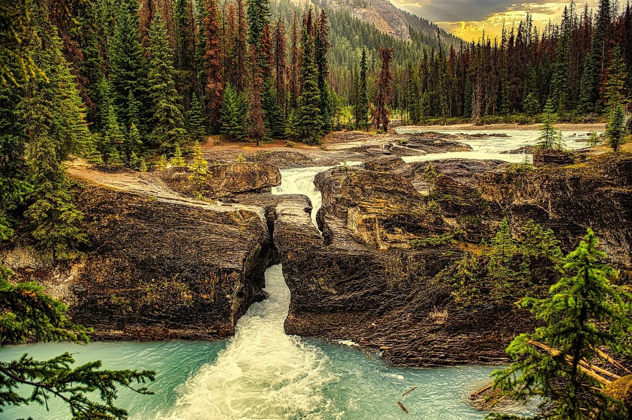 Body Of Indian Man, Who Drowned In US National Park, Recovered From Creek